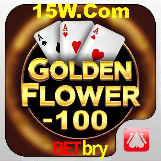 Interface Premium Betbry
